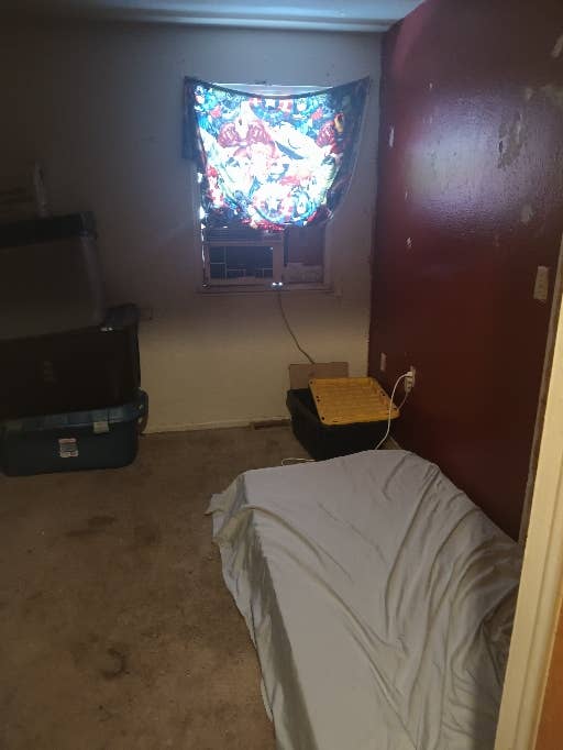 Looking for Roommate!