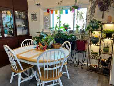 Furnished Room - All Inclusive