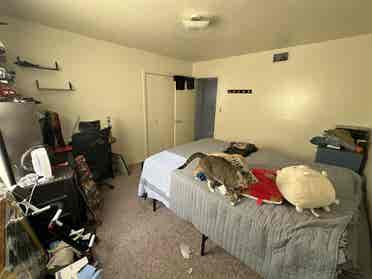 Room for rent!