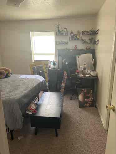 Room for rent!