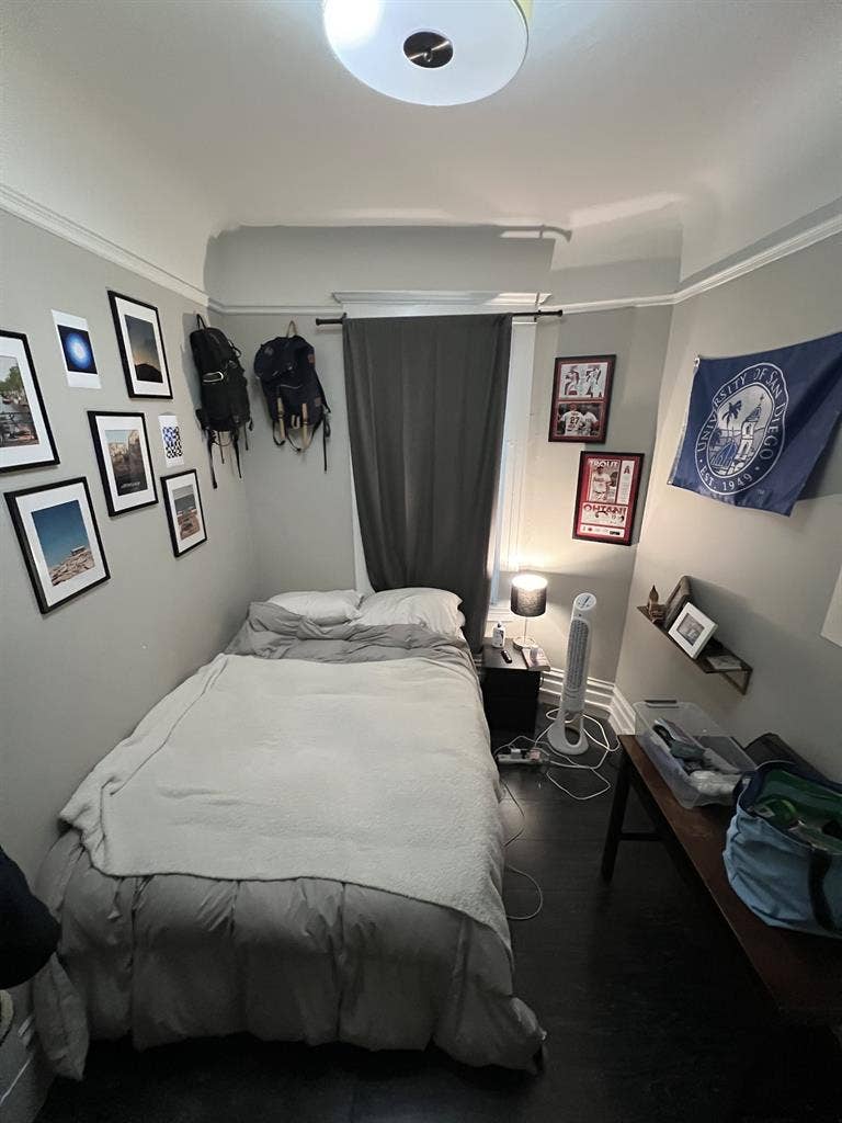 LF one roommate - Lower Pac Heights