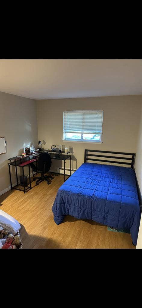 Beautiful room for rent in Andover