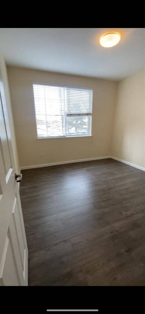 Roommate Needed for Lease Renewal