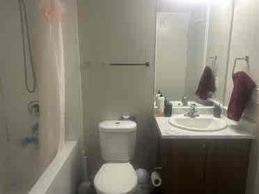 Downtown condo room for rent 