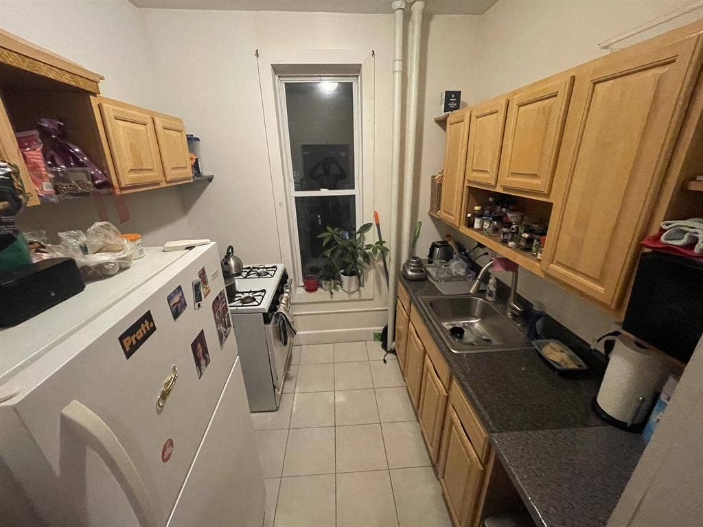 Roommate for 2nd bedroom in Bedstuy