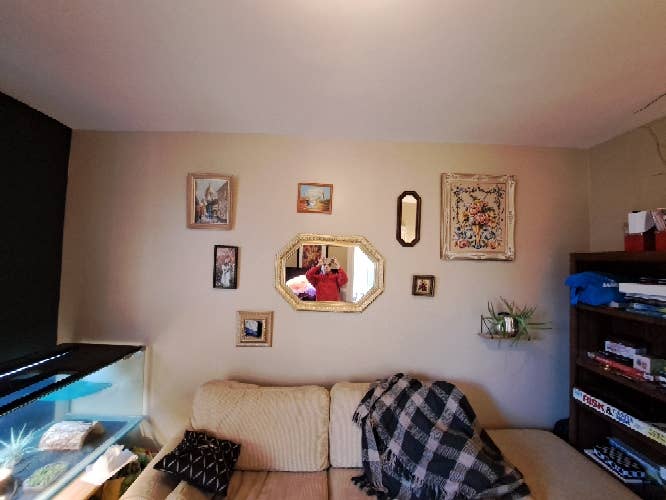 Roommate wanted! 2 bedroom apt