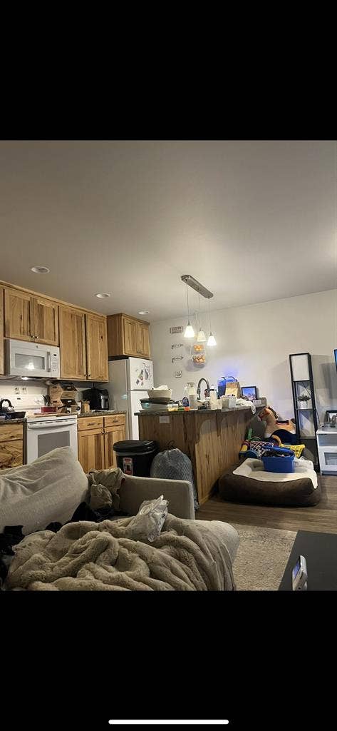 Looking for roommate