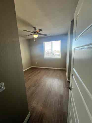 Roommate wanted