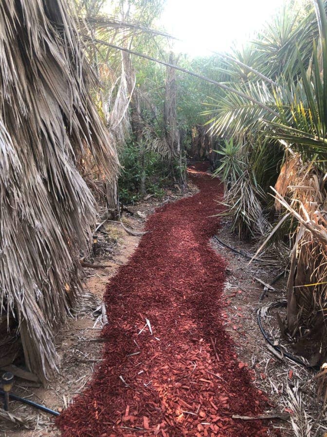 Paradise for Fit, Smart People