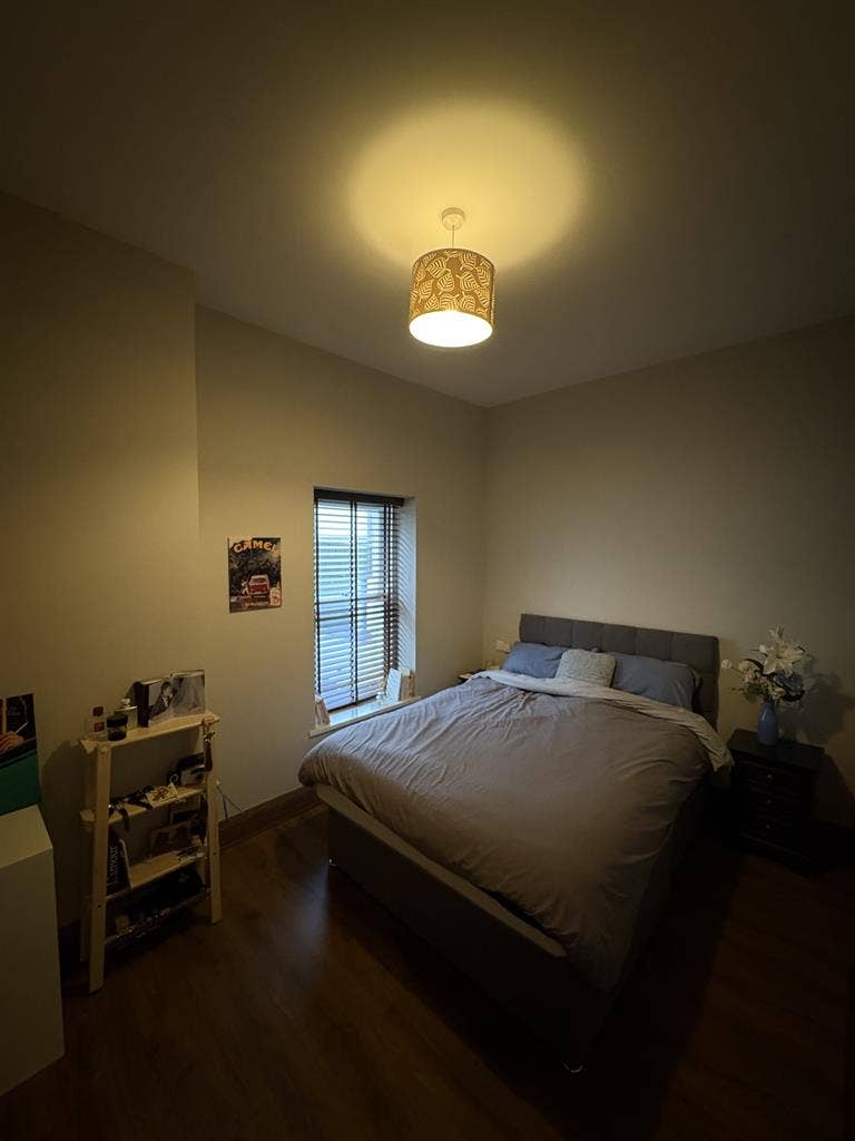 Room Available Now - Merrion Sq. D2