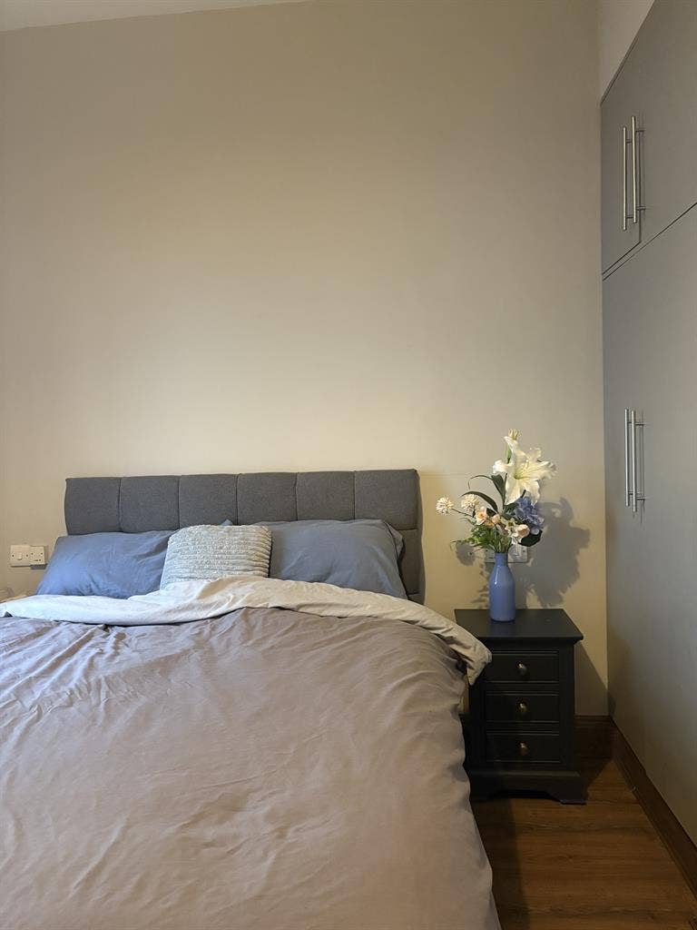 Room Available Now - Merrion Sq. D2