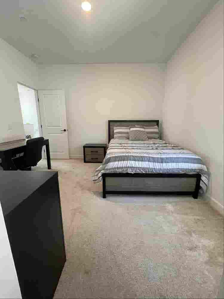 Modern, Pet-Free, Super Clean