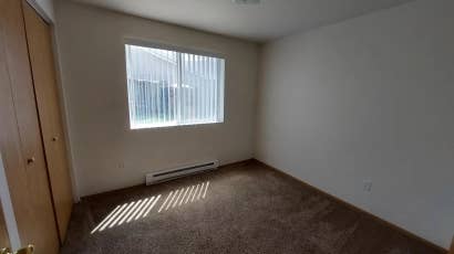 Looking for a roommate