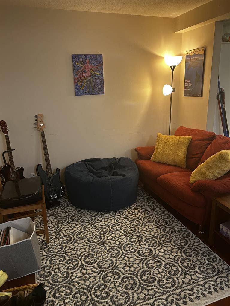 Chill Female Roommate Wanted