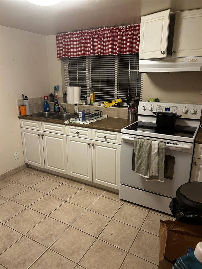 Chill Female Roommate Wanted