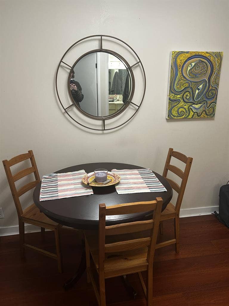 Chill Female Roommate Wanted