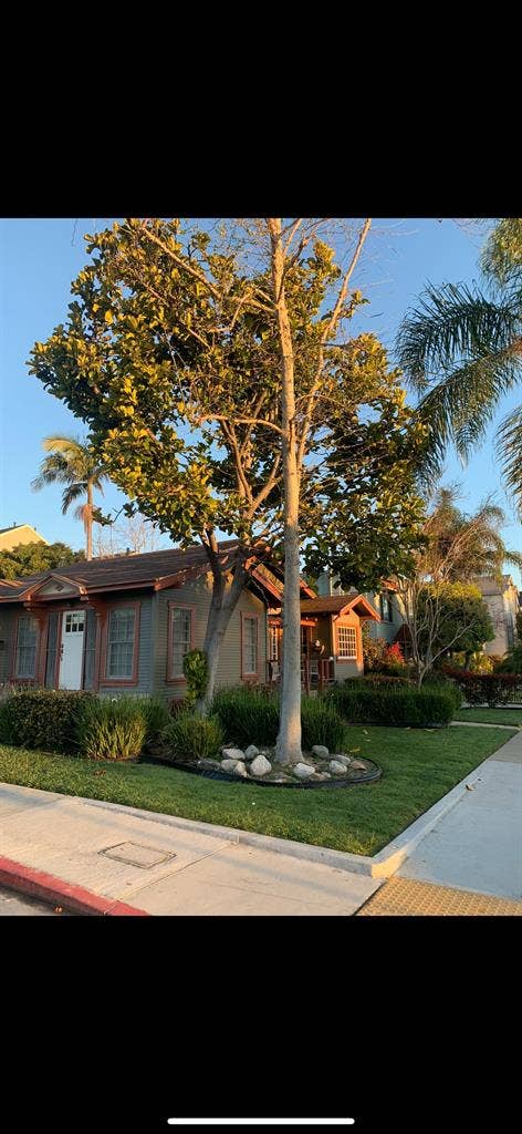 Charming House in LB