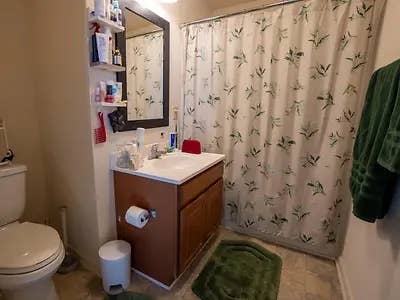 Room for rent at Flagstaff Grove!