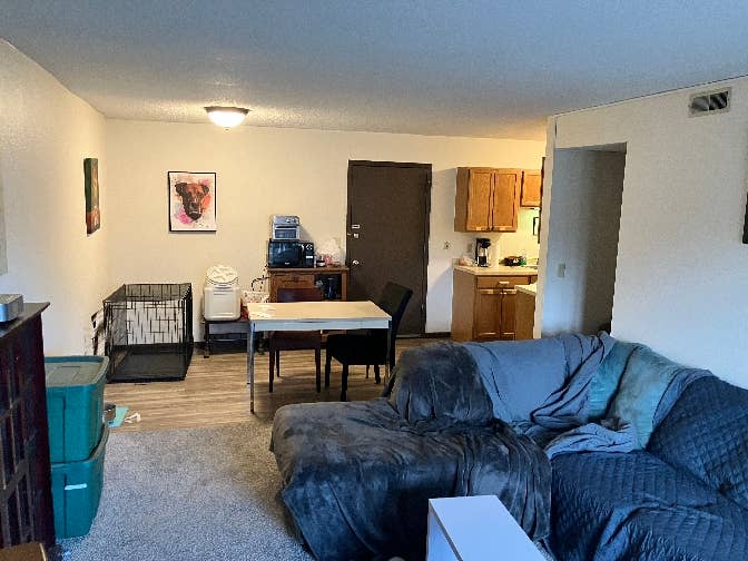 Looking for a roommate Dogs allowed