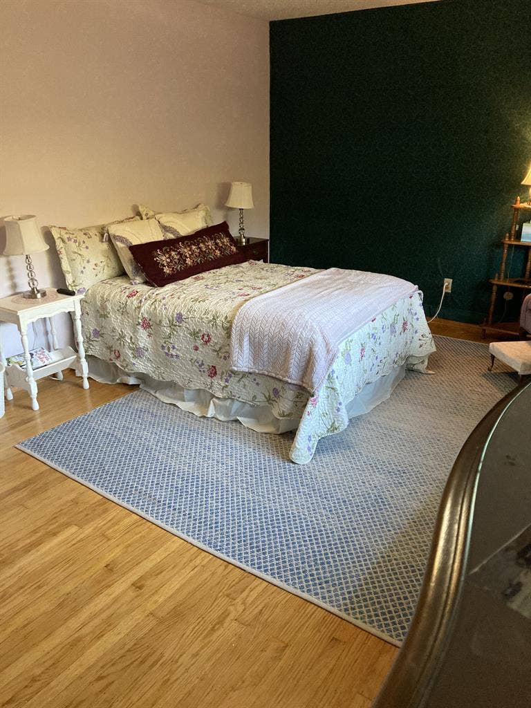 Large furnished room available