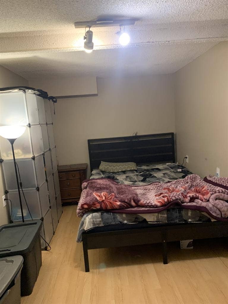 1 bedroom basement in Bramptonn