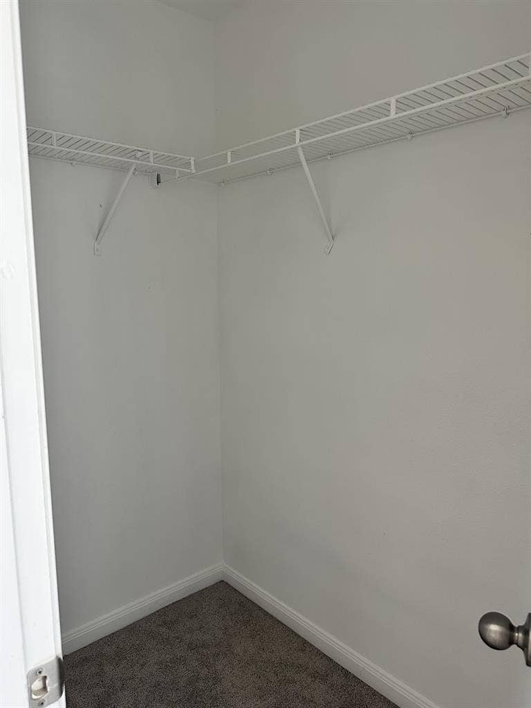 Room available for rent March 1st