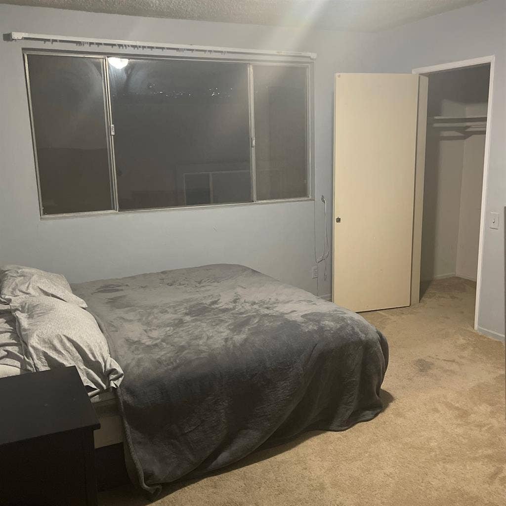 Looking for a chill roomate