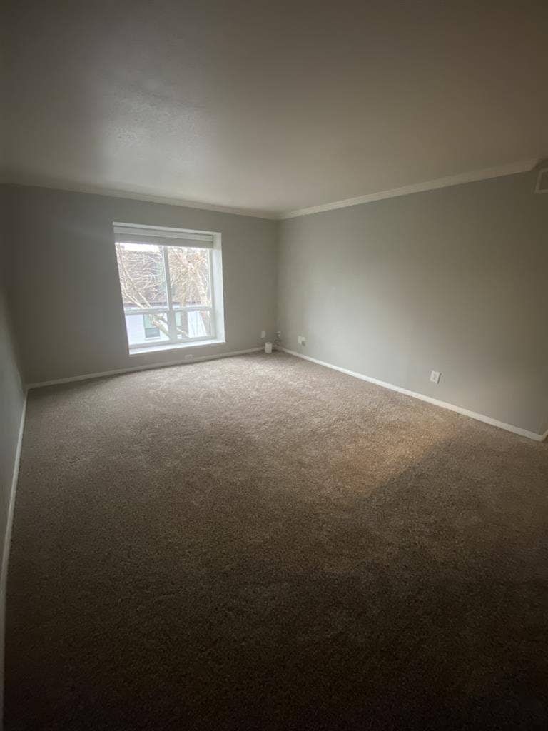 Cozy living room for rent