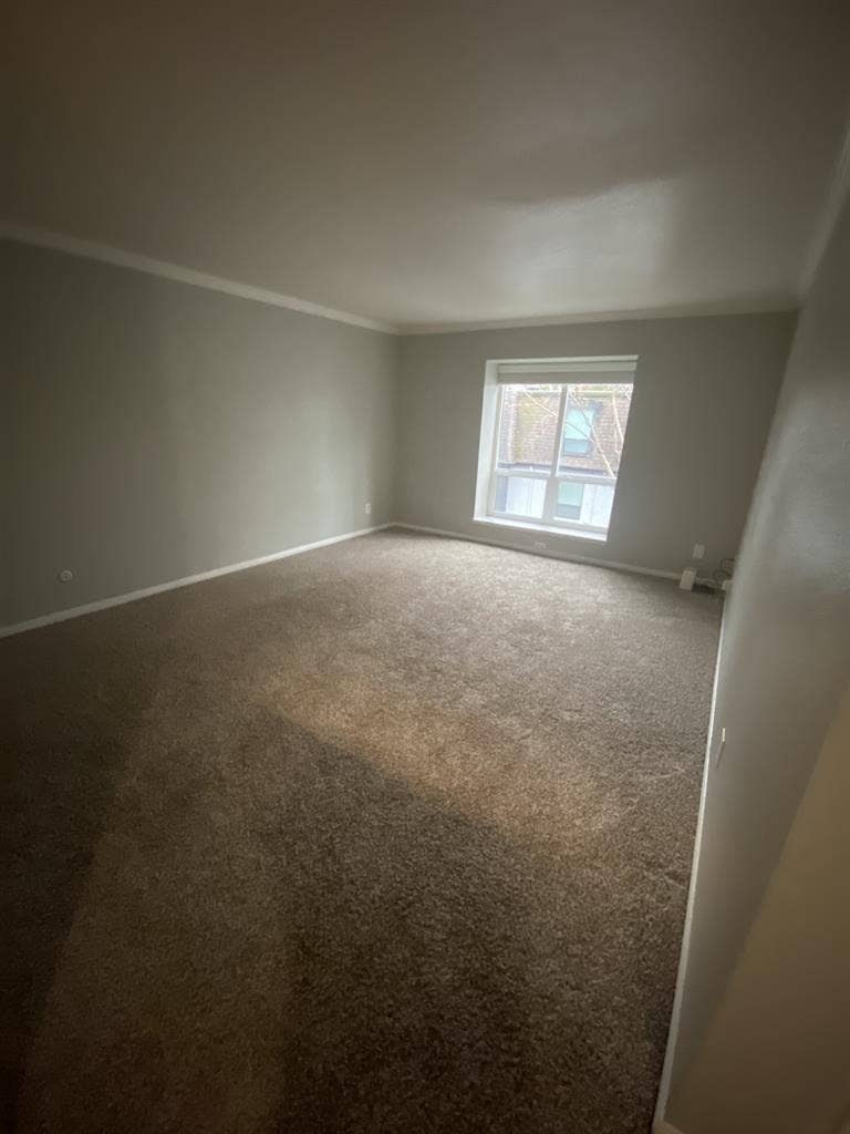 Cozy living room for rent