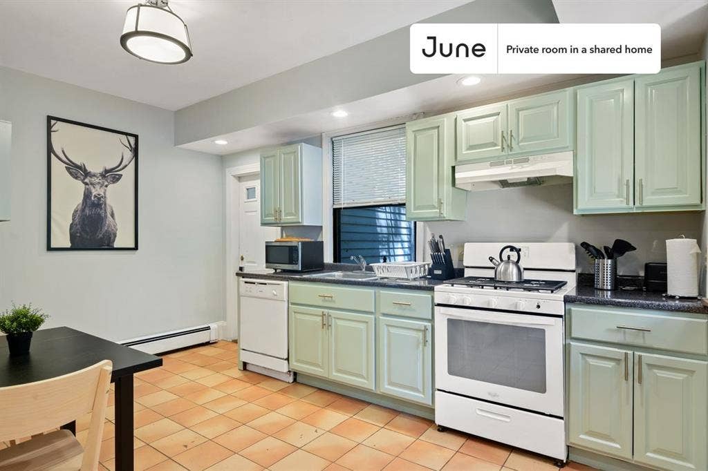 4 BR in Boston
