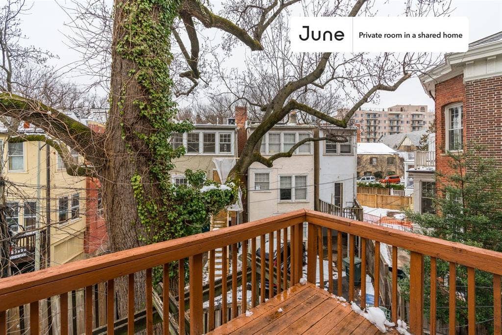 7 BR in Washington DC