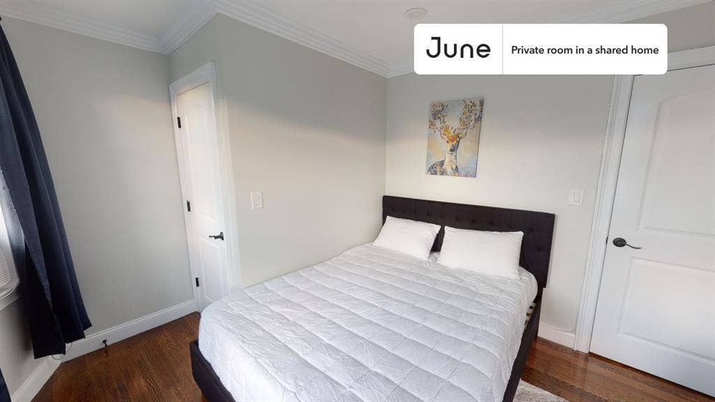 5 BR in Boston