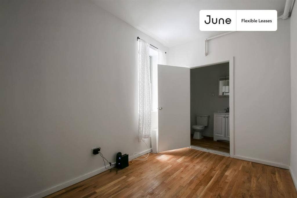 1 BR in New York City