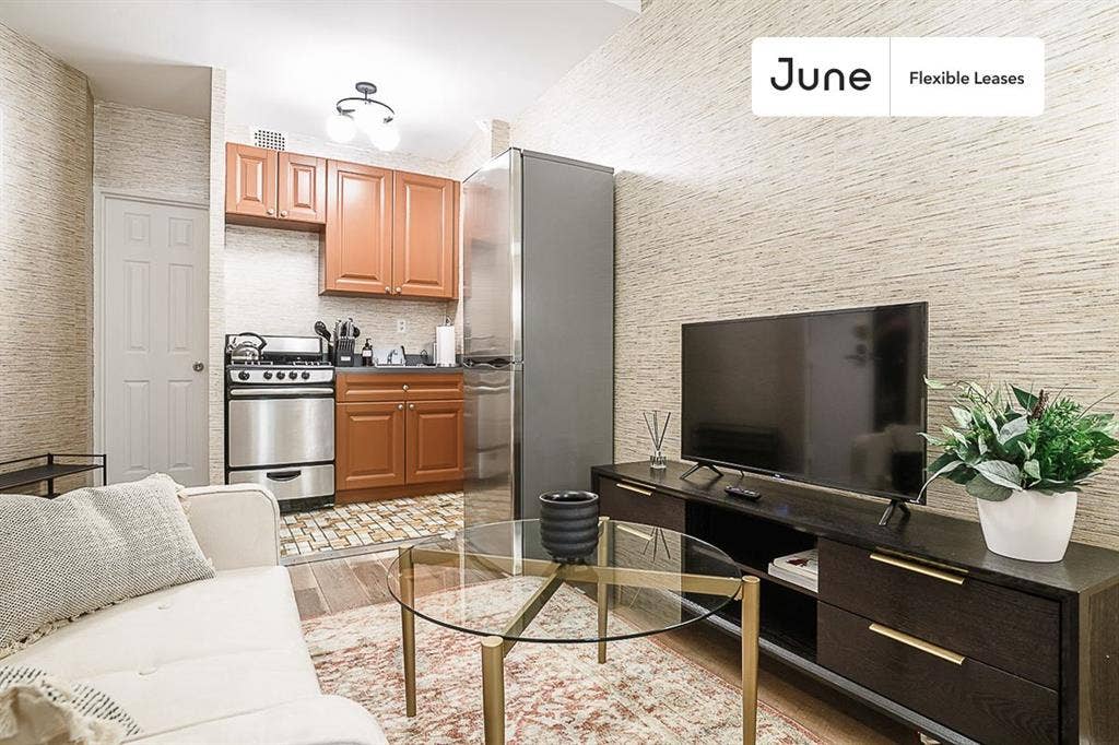 1 BR in New York City
