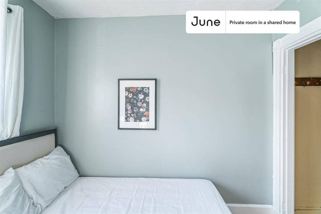 6 BR in Boston