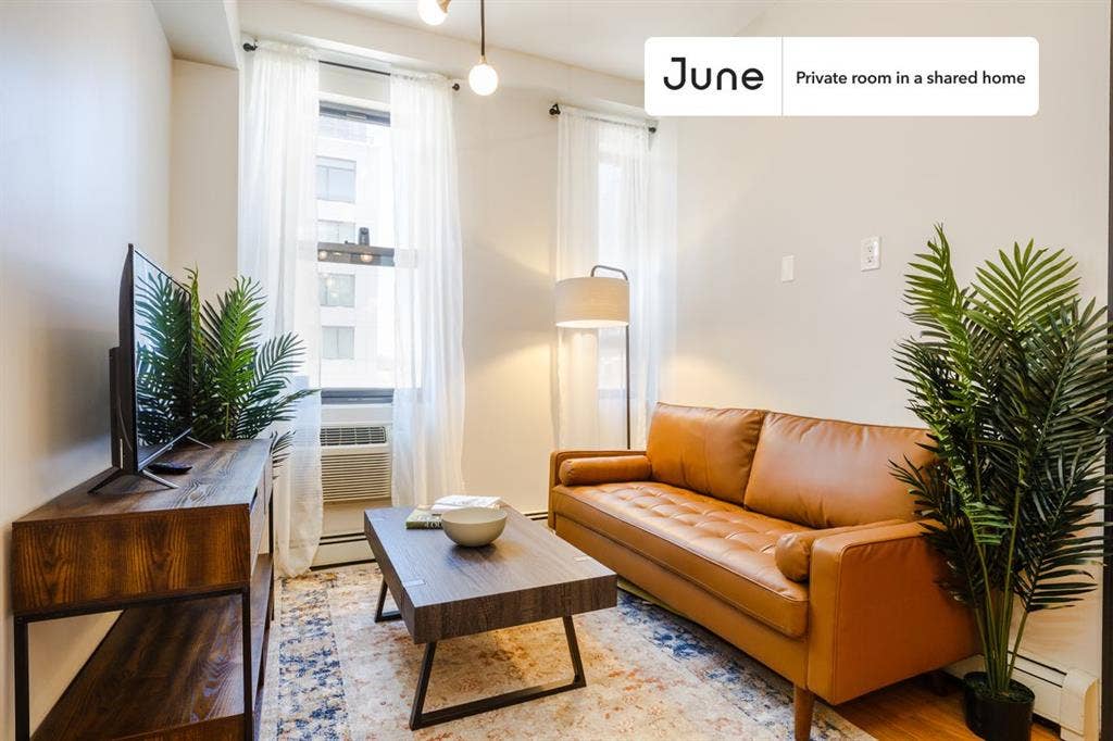 3 BR in New York City