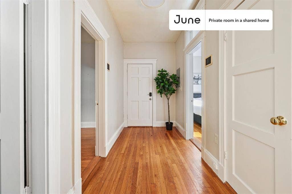 3 BR in Boston