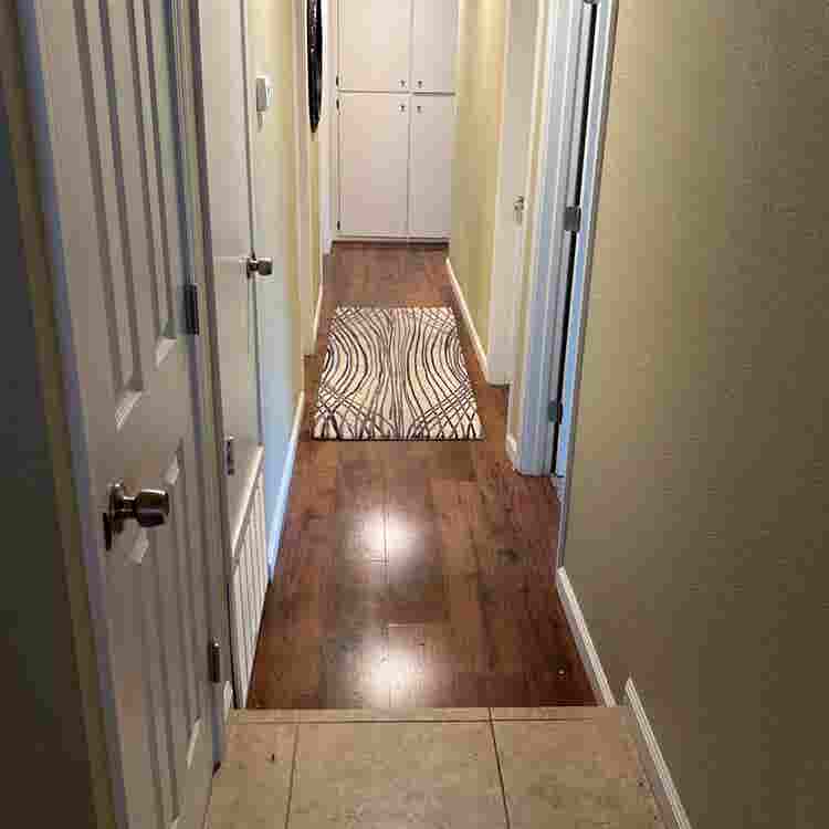 House looking for a third roomy!