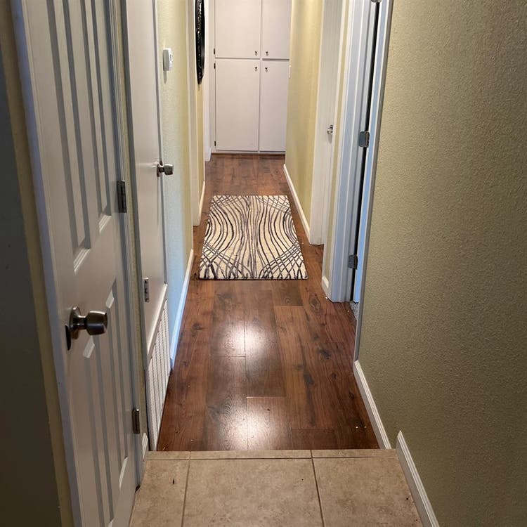 House looking for a third roomy!