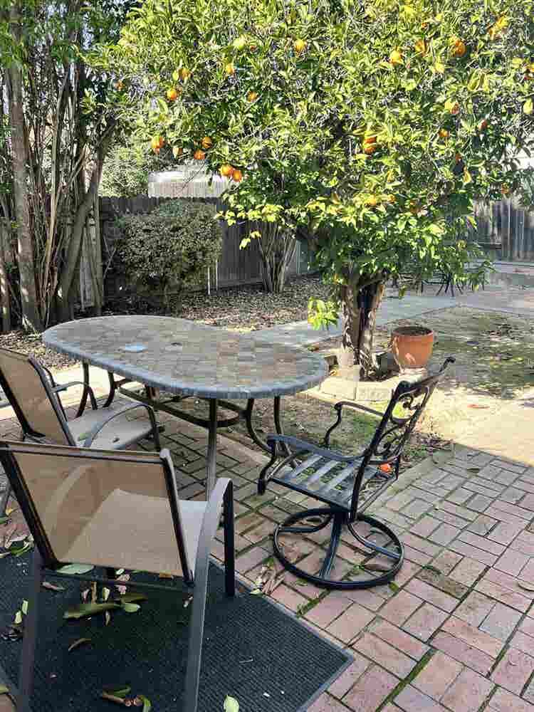 House looking for a third roomy!