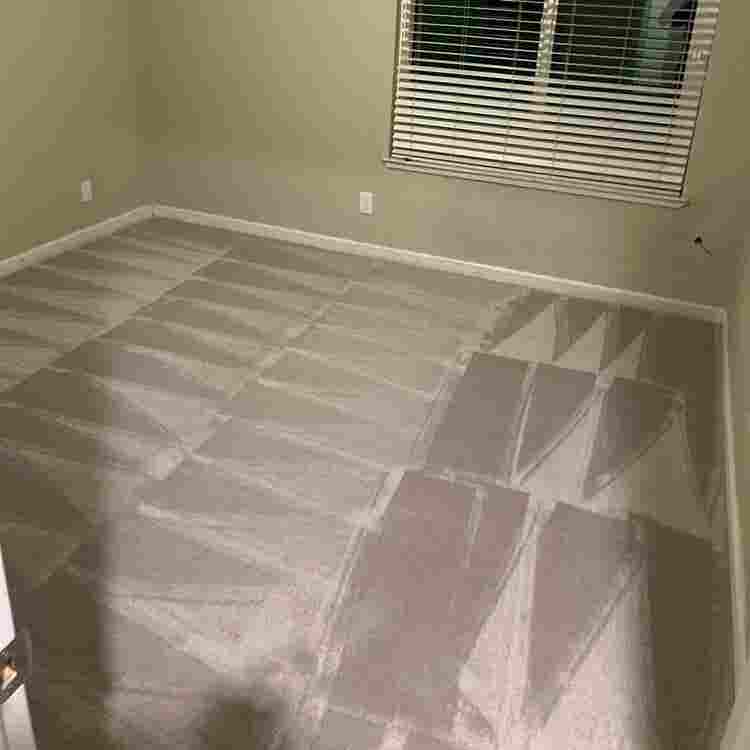 House looking for a third roomy!