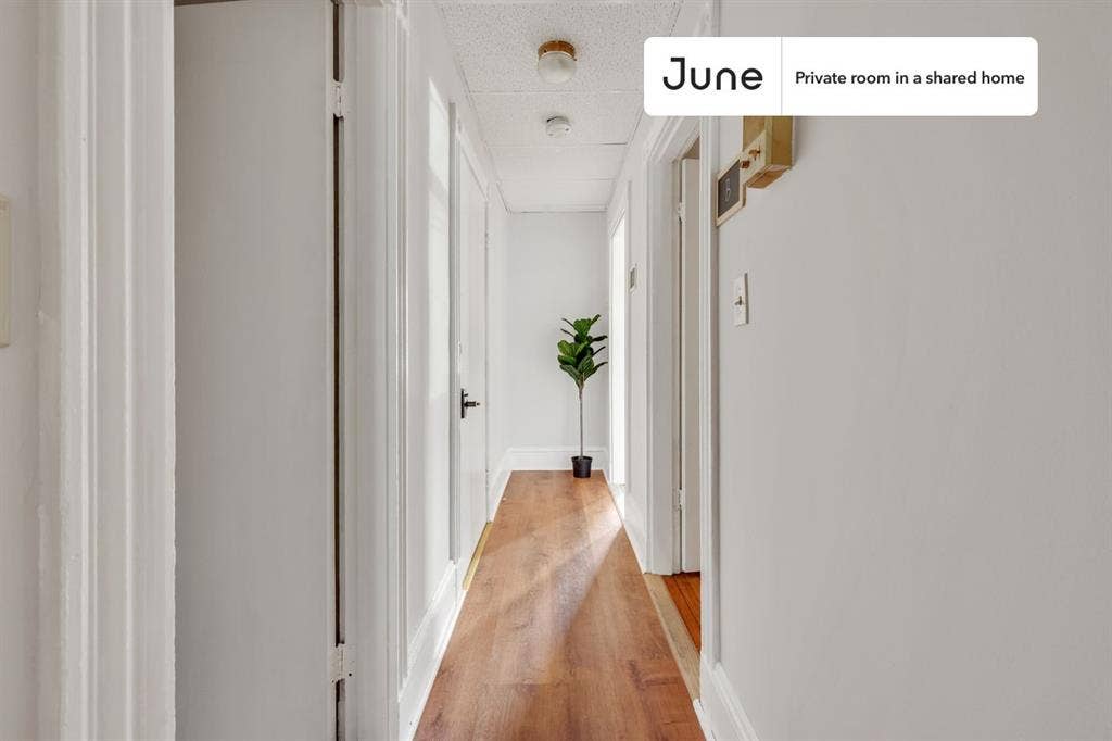 3 BR in Boston
