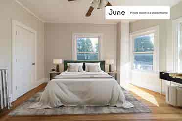 5 BR in Boston