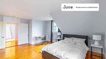 5 BR in Boston