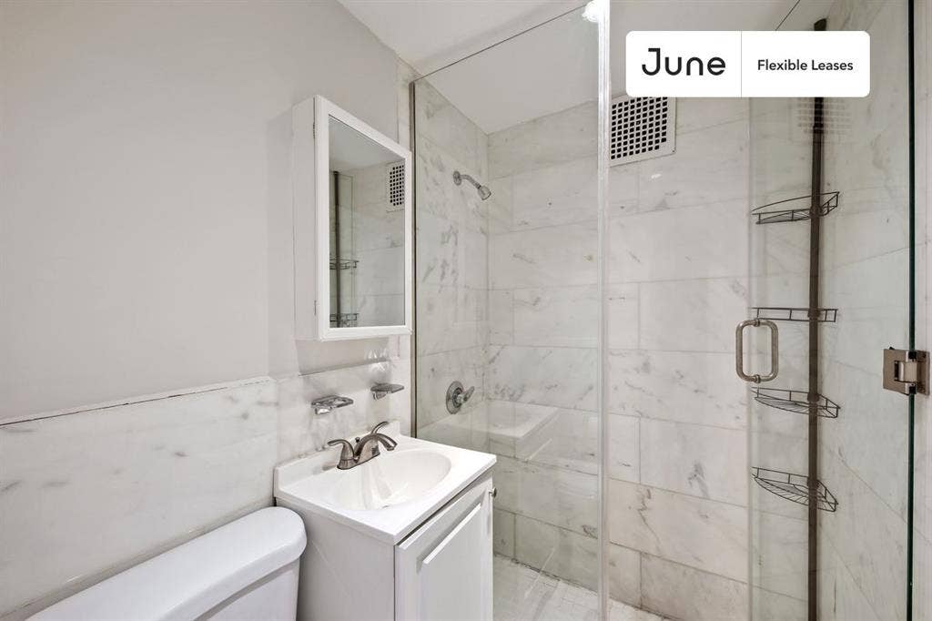 1 BR in New York City