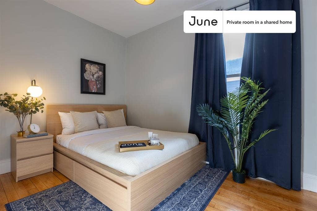 4 BR in Boston