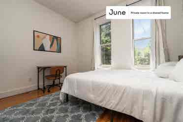 3 BR in New York City