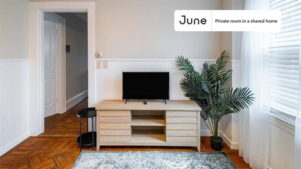 3 BR in Boston