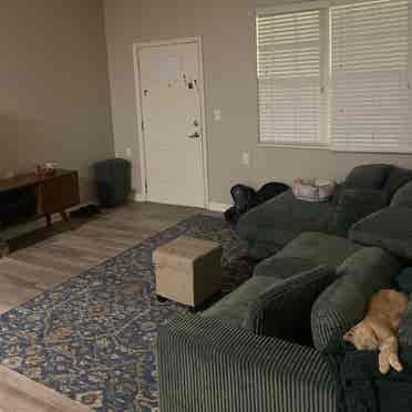 Spare Bedroom/ Shared bathroom