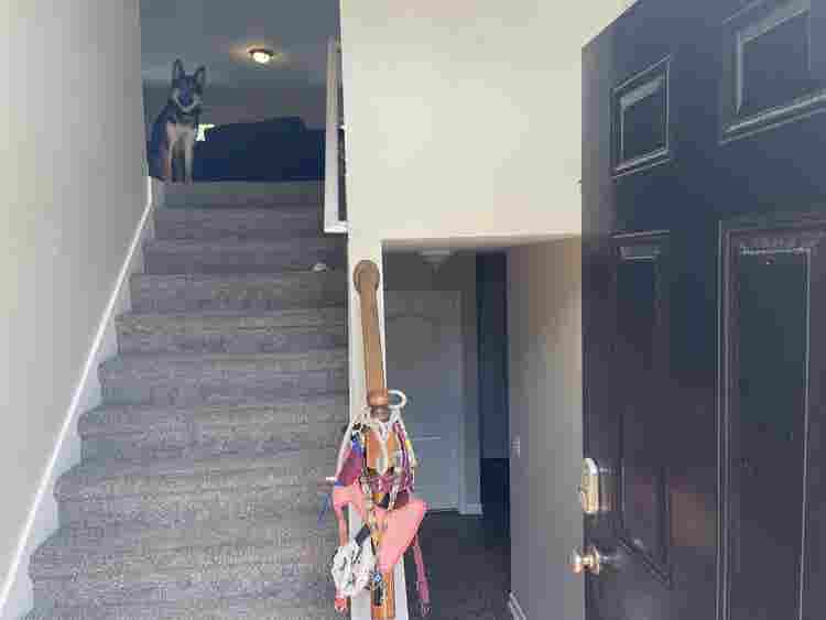 Room available in Dallas Home